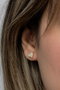 Heliophilia Silver Pendientes de Plata 925 Dorados con Circón